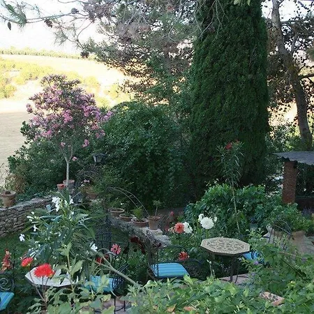 Hotel Jardin De La Muralla 3*