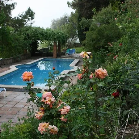 Hotel Jardin De La Muralla 3*